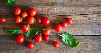 Tomatensoße auf Vorrat einkochen