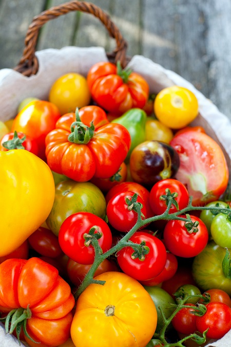 Tomaten: Es gibt unglaublich viele verschiedene Sorten.