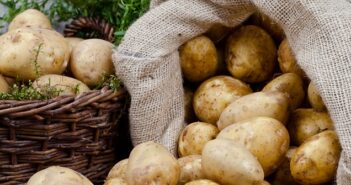 Kartoffeldiät: Sattwerden und trotzdem abnehmen?