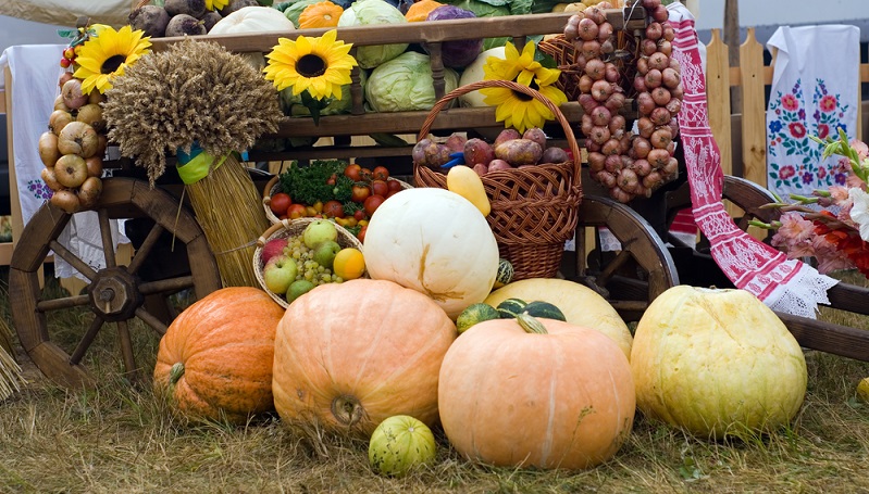 Regionale Anbieter von Gemüse und Obst haben gleich mehrere Vorteile: frische Produkte aus einheimischem Anbau, kurze Transportwege innerhalb einer Region, attraktive Preise während der Saison und nicht selten ein Bio Siegel für den biologischen Anbau. (#03)