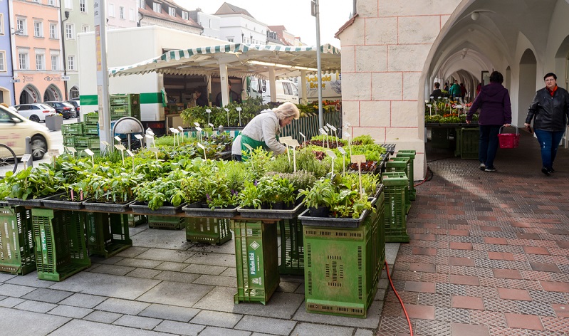 Als kleine Hilfe für den Einkauf auf dem Wochenmarkt, im Bioladen oder Supermarkt sehen Sie hier Saisonkalender für Obst und Gemüse. (#01)