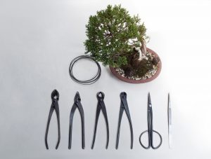 Bonsai Werkzeug-Set aus schwarzem Stahl sollte immer gut gereinigt werden.