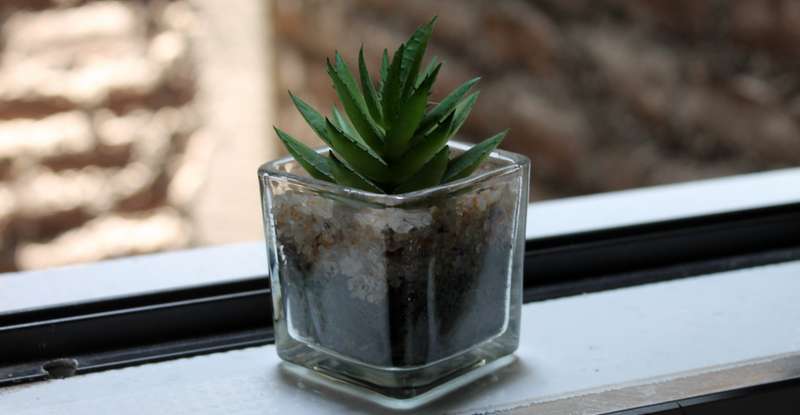 Kunstpflanzen fügen sich schnell in einen Raum ein und unterstreichen dessen Ambiente. ( Foto: Adobe Stock-yami)