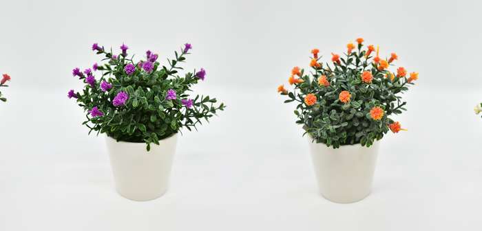 Künstliche Pflanzen: Pflegeleichte Lebensfreude für Zuhause ( Foto: Adobe Stock - KünsGuillermo)