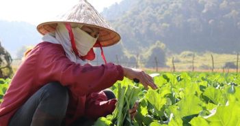 ADRA ruft zum Handeln gegen den Hunger auf (Foto: ADRA Laos)