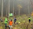 60 Helfer pflanzen 2500 Roteichen und Bergahorn im November (Foto: ARJES GmbH)