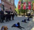 Charity Working Test Schloss Platte zeigt Assistenzhunde im (Foto: Laura Anthes)