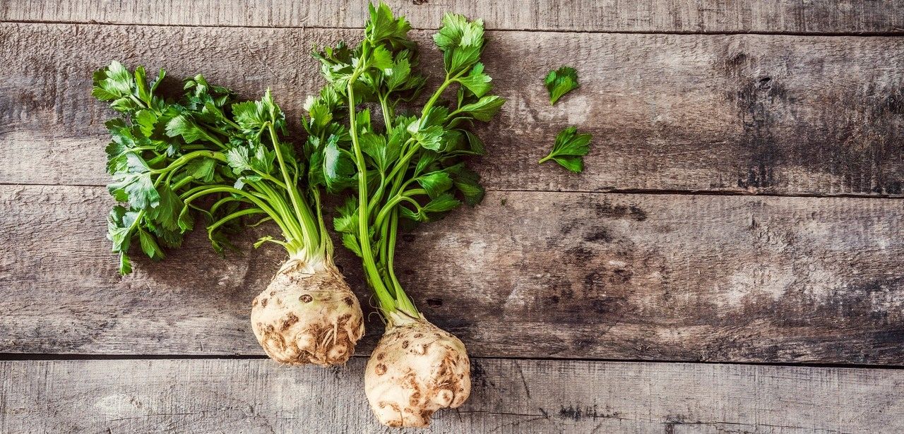 Knollensellerie: Regionales Herbstgemüse mit vielseitigem Aroma und wertvollen (Foto: AdobeStock - sebra - 196527001)